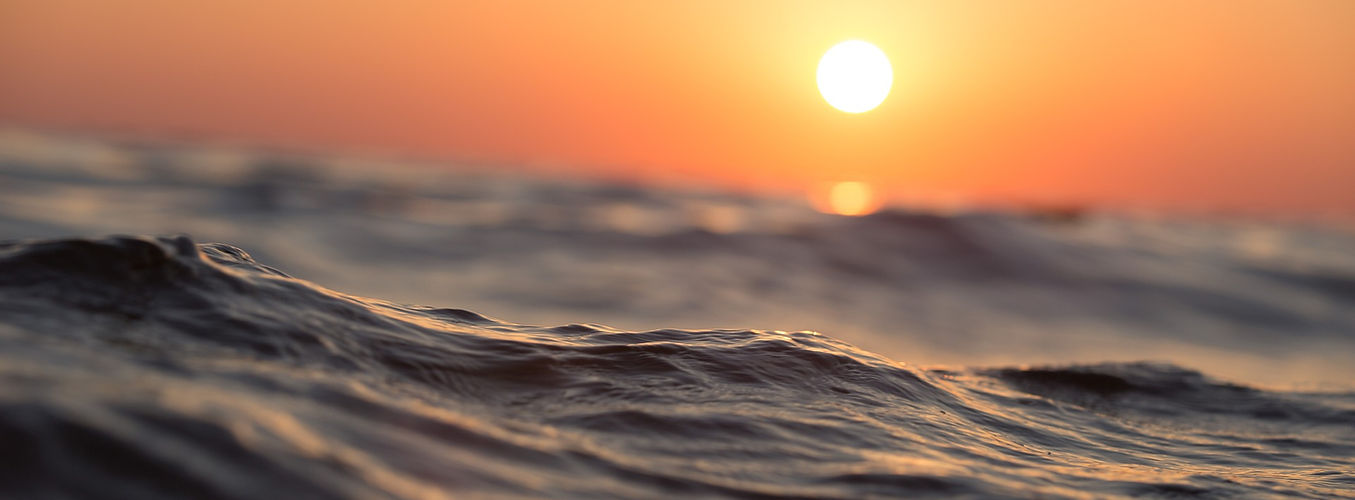 海